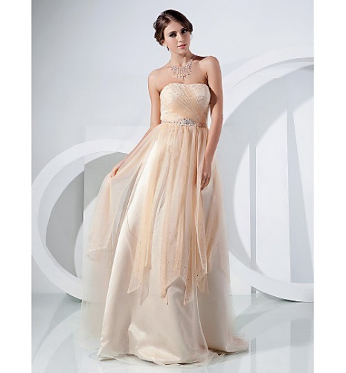 TS Couture? Prom / Formal Evening Dress - Vintage Inspired / Elegant Plus Size / Petite A-line / Princess Strapless Floor-length Tulle withAppliques  