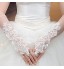 Opera Length Fingerless Glove Lace Bridal Gloves / Party/ Evening Gloves Spring / Summer / Fall / Winter Pearls / lace  