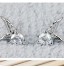 Women& 925 Sterling Silver  Angel Wings Stud Earrings With Rhinestone  